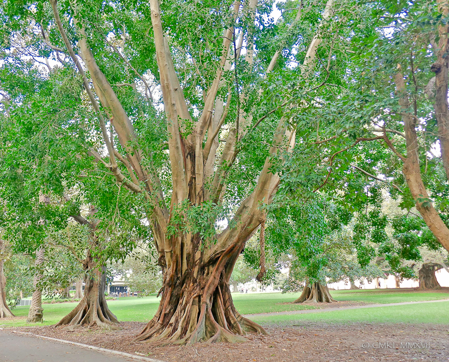 Sydney.Home.Exchange.327-1170771