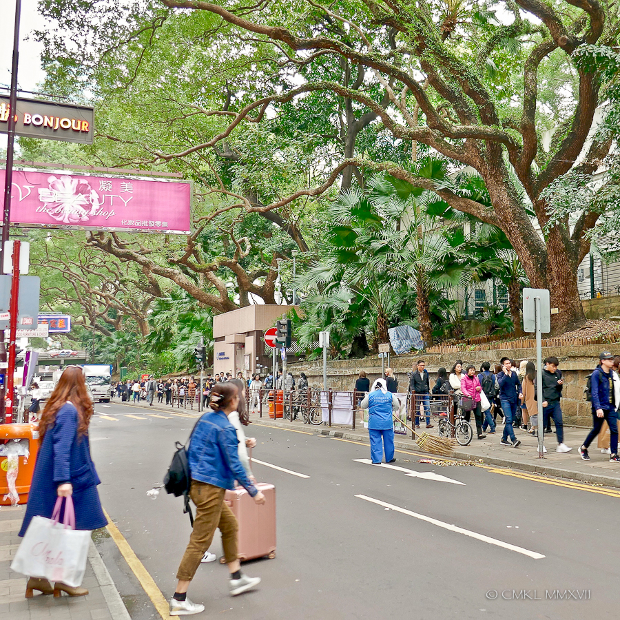 Home.Exchange.HongKong.10-1190105