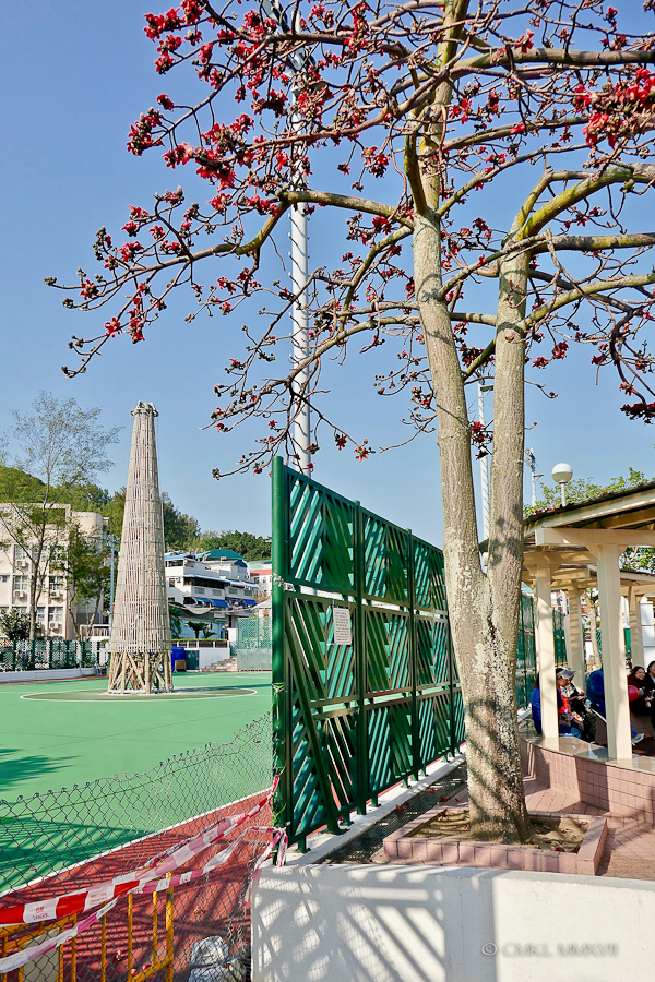Home.Exchange.HongKong.141-1190792