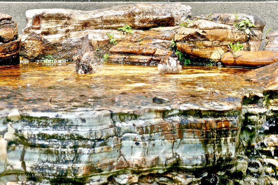 Home.Exchange.HongKong.173-1200437