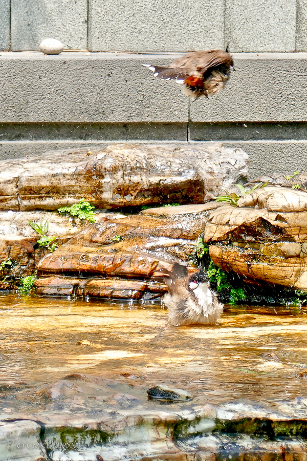 Home.Exchange.HongKong.174-1200439