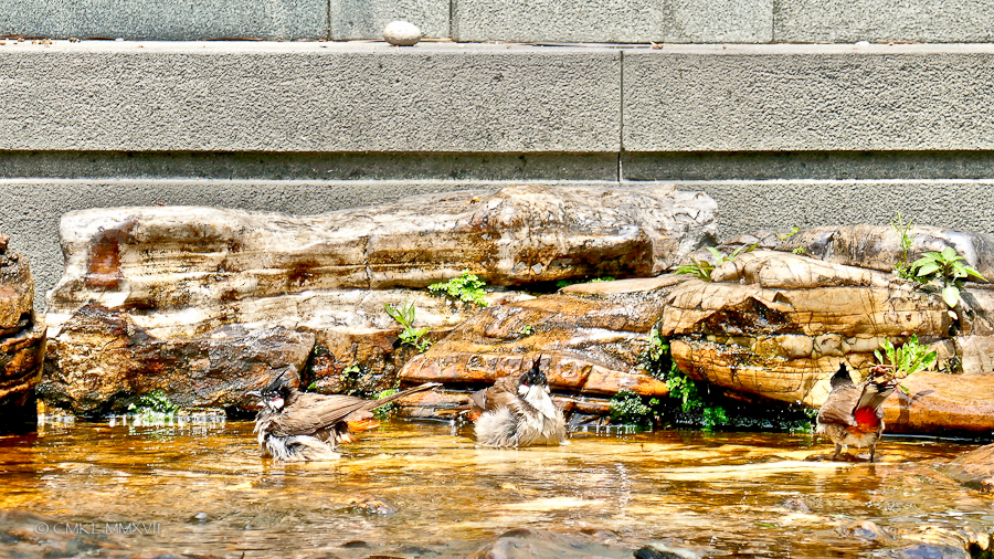 Home.Exchange.HongKong.177-1200447