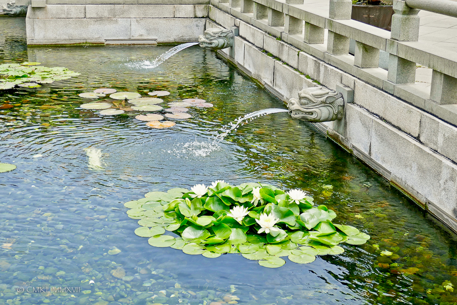 Home.Exchange.HongKong.190-1200481