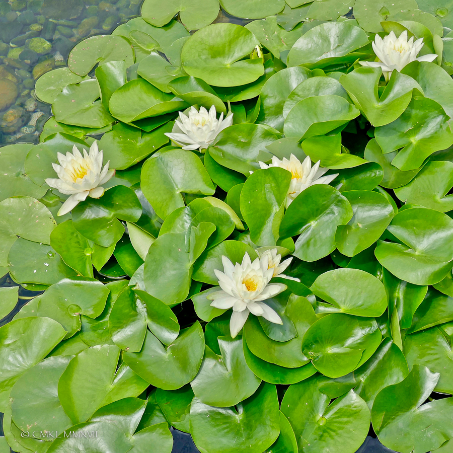 Home.Exchange.HongKong.191-1200482