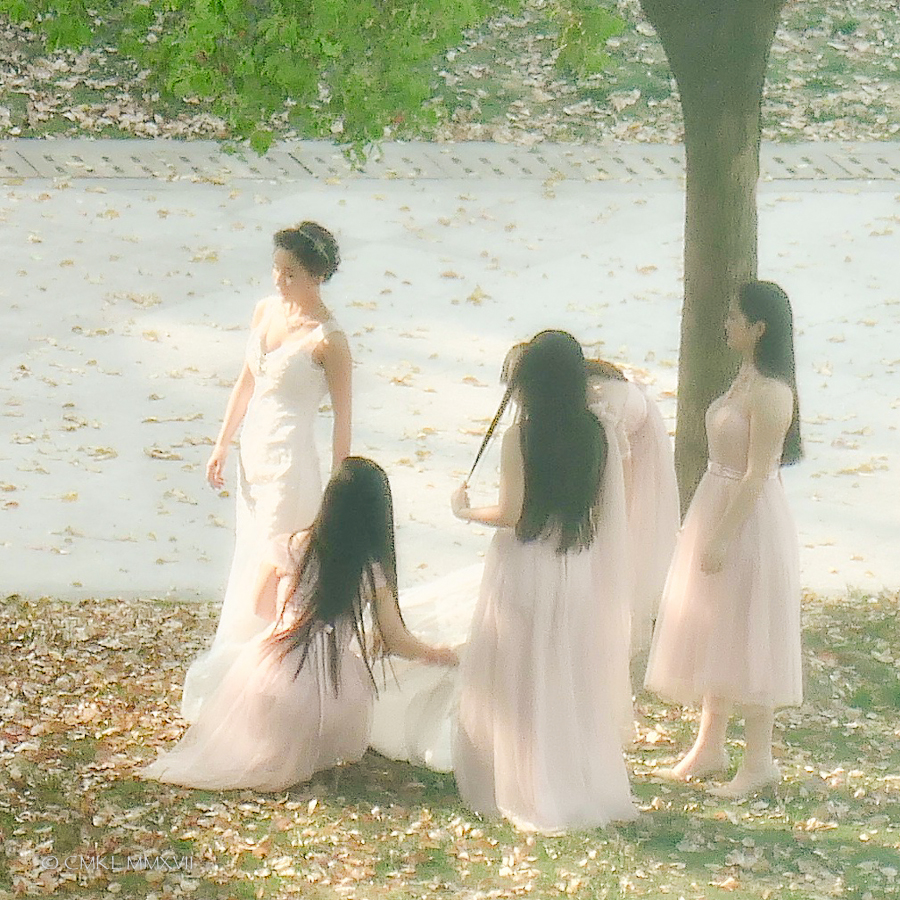 Home.Exchange.Shanghai.124-1210885