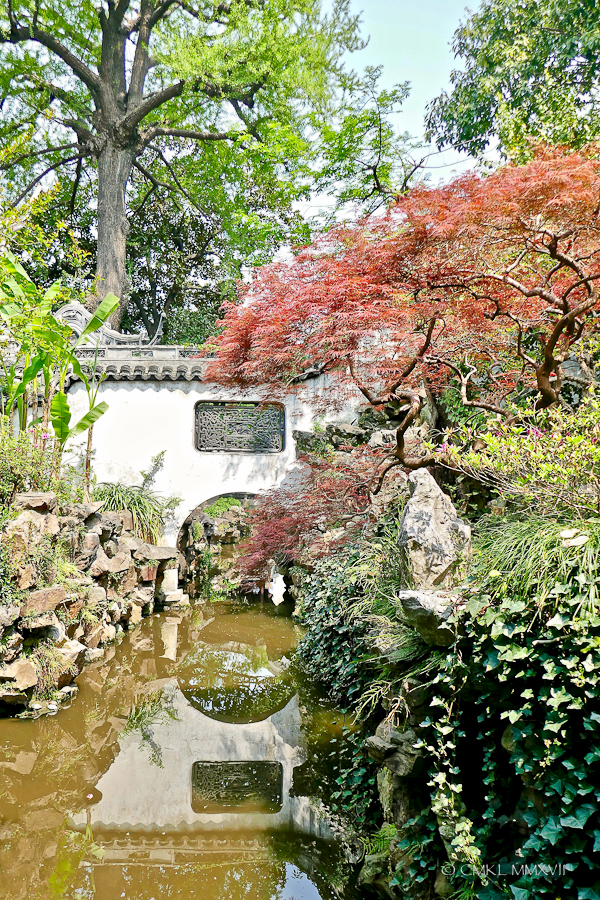 Home.Exchange.Shanghai.172-1210767