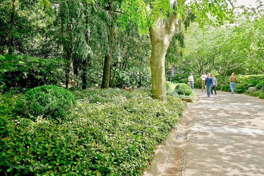 Shanghai.Home.Exchange.304-1220385