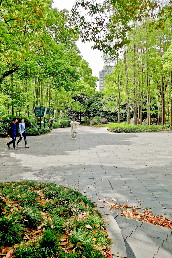 Shanghai.Home.Exchange.305-1220392