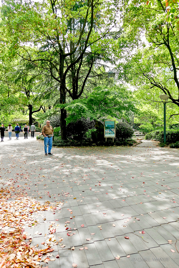 Shanghai.Home.Exchange.307-1220394