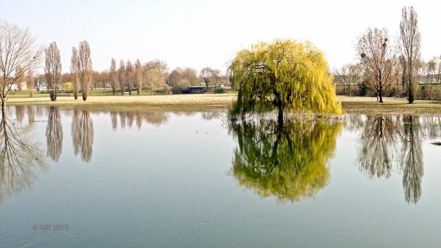 12278964_10153008101152242_7585579126637190695_n