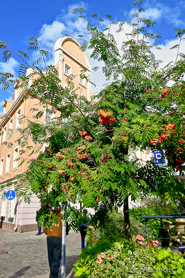 Riga.OldTown.04-1380700